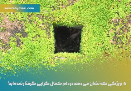 دام-کمالگرایی